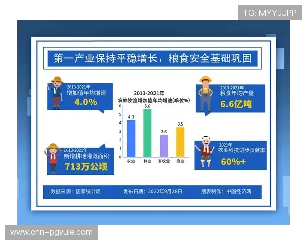 PG国际官方网站入口优化升级，提升用户访问速度与安全保障